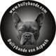 Logo Bullybande